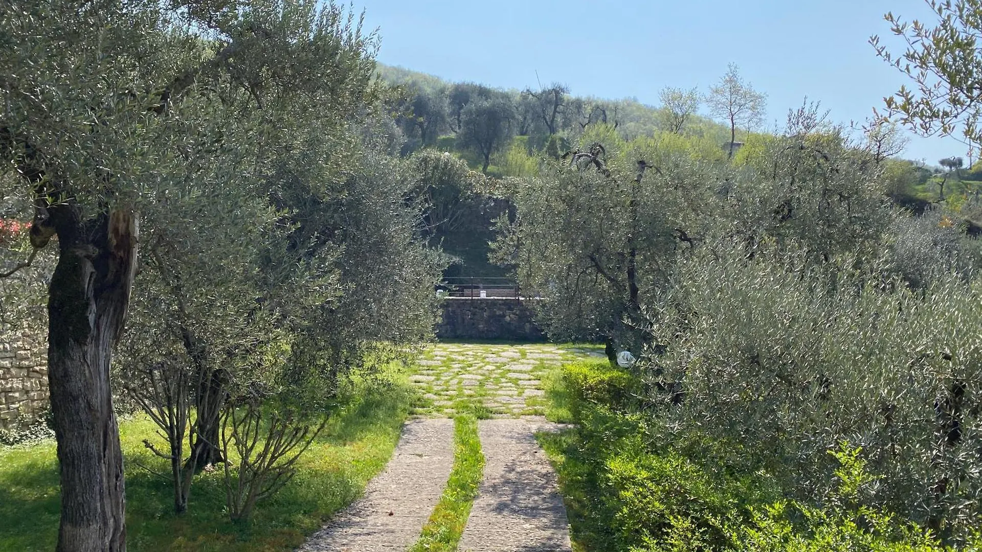 Lakeside Residence 'Al Crero' Torri Del Benaco Casa vacanze